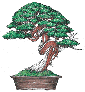 the projected design