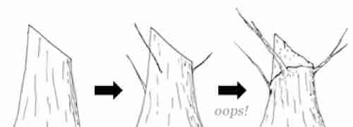illustration of a chopped trunk sequence