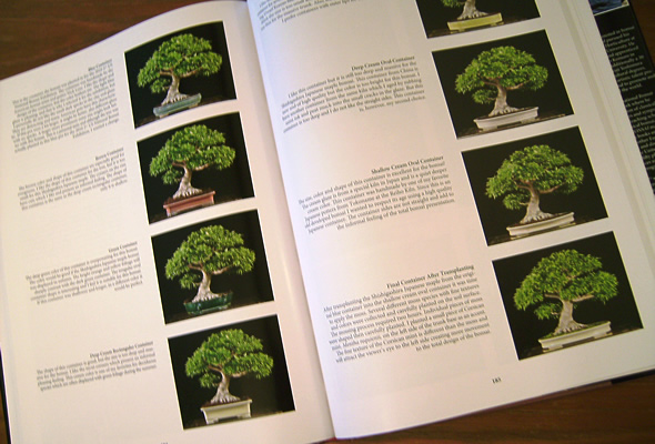 a pot/tree-matching exercise