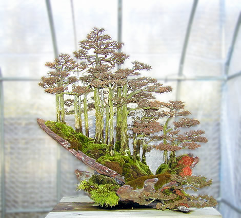 An evocative hillside planting